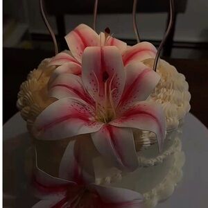 Birthday